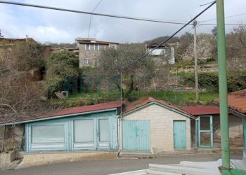 IMG_20250320_145542.jpg - Villa Via Milite Ignoto 10, Pieve di Teco - foto 29