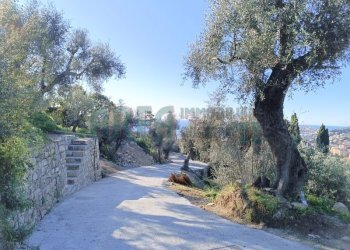 IMG_20250112_103806.jpg - Agricultural land Via Fanny Roncati Carli, Imperia - photo 1