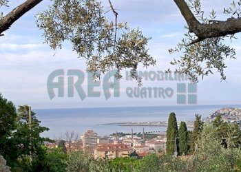 IMG_20240513_081037.jpg - Agricultural land Via Fanny Roncati Carli, Imperia - photo 2