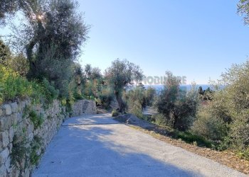 IMG_20250112_103750.jpg - Agricultural land Via Fanny Roncati Carli, Imperia - photo 4