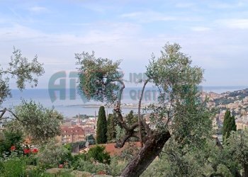 IMG_20240513_081148.jpg - Villa Via Fanny Roncati Carli, Imperia - foto 3