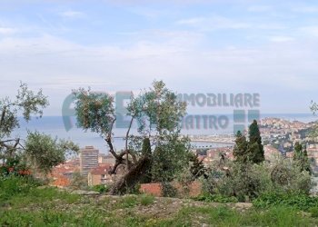 IMG_20240513_081203.jpg - Villa Via Fanny Roncati Carli, Imperia - foto 4