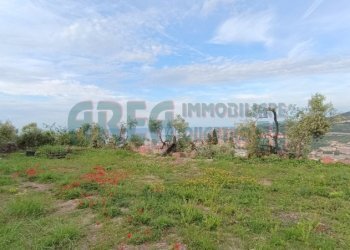 IMG_20240513_081208.jpg - Villa Via Fanny Roncati Carli, Imperia - foto 5