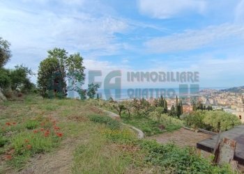 IMG_20240513_082306.jpg - Villa Via Fanny Roncati Carli, Imperia - foto 22