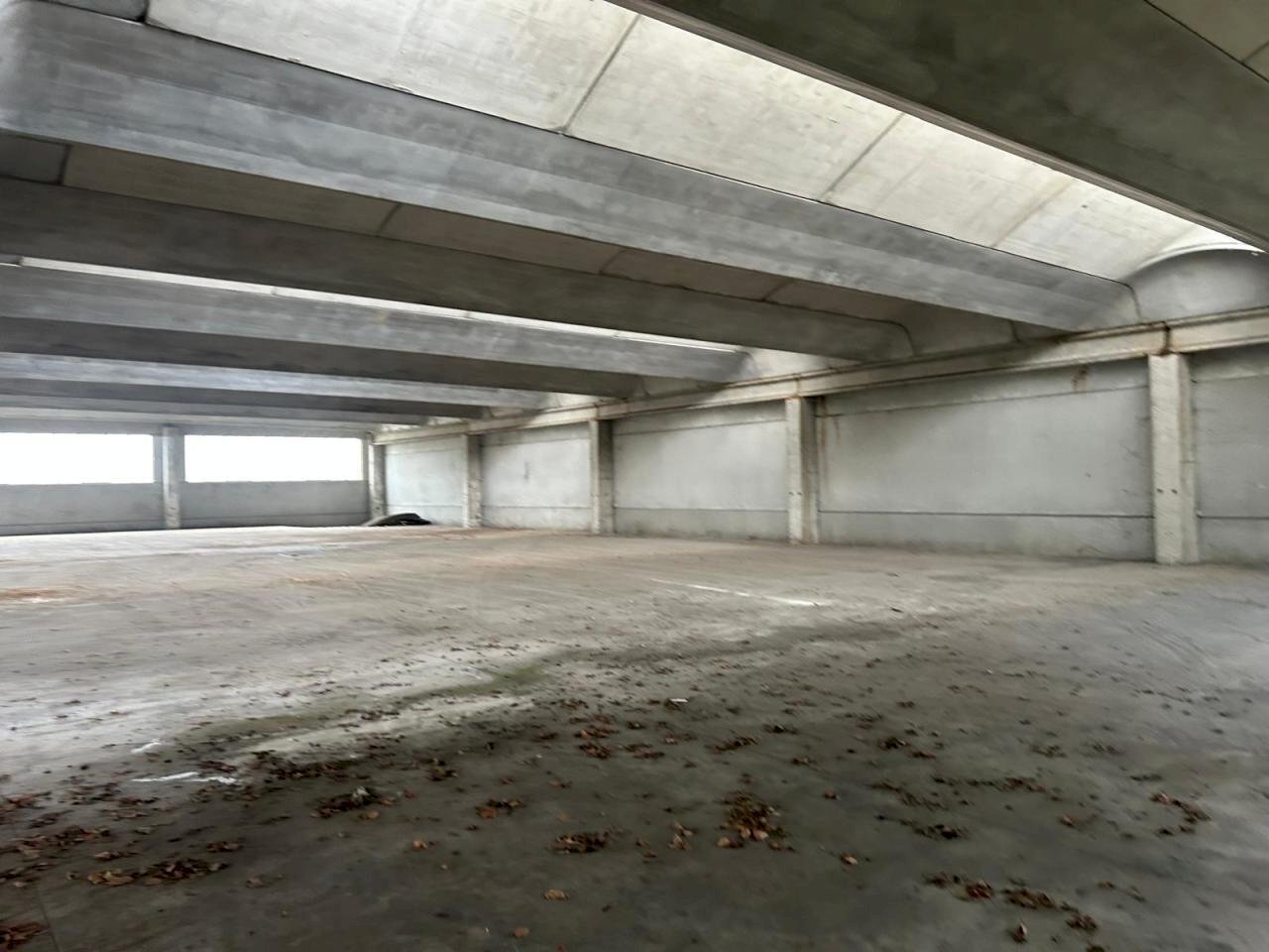 IMG-20241121-WA0080.jpg - Locale Commerciale TRAVERSA PRIMA DI VIA INDUSTRIALE 9, Cellatica - foto 3