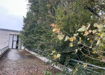 IMG-20241121-WA0083.jpg - Commercial Premises TRAVERSA PRIMA DI VIA INDUSTRIALE 9, Cellatica - photo 7