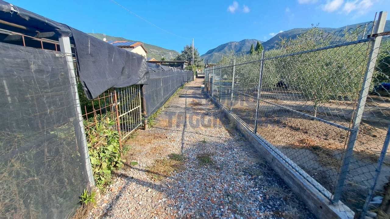 Immagine WhatsApp 2025-08-23 ore 10.52.00_f63c0ca2 - Agricultural land Via Arginatura, Taggia - photo 1