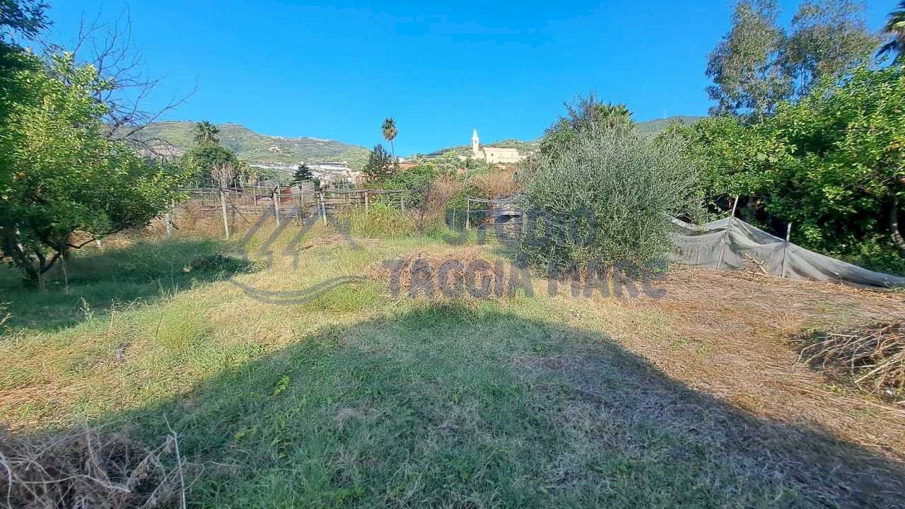 Immagine WhatsApp 2025-08-23 ore 10.52.03_16397e4a - Agricultural land Via Arginatura, Taggia - photo 3