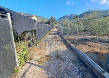 Immagine WhatsApp 2025-08-23 ore 10.52.00_f63c0ca2 - Agricultural land Via Arginatura, Taggia - photo 1