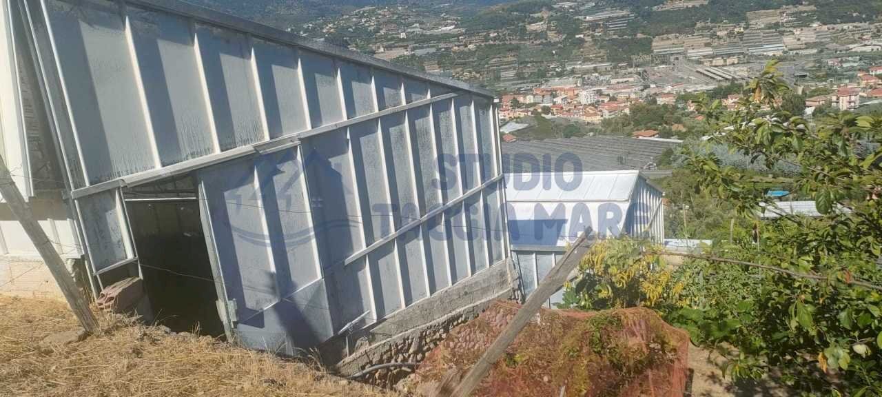 8b06a5de-72ed-4e67-a036-f71790115294.jpg - Agricultural land Via Periane 300, Taggia - photo 3