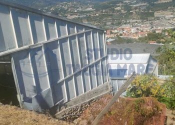 8b06a5de-72ed-4e67-a036-f71790115294.jpg - Agricultural land Via Periane 300, Taggia - photo 3