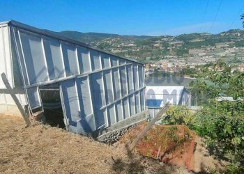 50ab2849-1be3-4416-8bdf-a3960232ba52.jpg - Agricultural land Via Periane 300, Taggia - photo 5