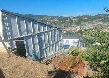 b152b144-fa0e-42e0-90e5-005c6ec17fd4.jpg - Agricultural land Via Periane 300, Taggia - photo 9