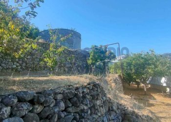 dbaca8b6-3bbc-40c6-9df8-cc5c1f4d6602.jpg - Agricultural land Via Periane 300, Taggia - photo 10