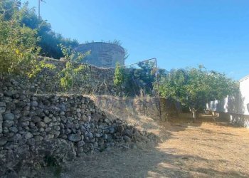 f82271fc-db1e-4f8a-9ee6-84101c45df13.jpg - Agricultural land Via Periane 300, Taggia - photo 12