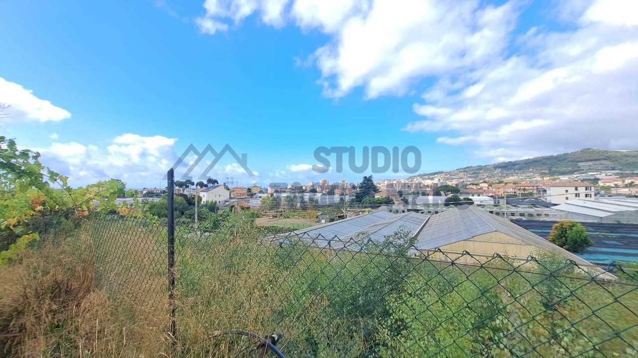 Immagine WhatsApp 2025-07-14 ore 17.30.34_263d8747 - Casale Regione Prati e Pescine, Taggia - foto 3