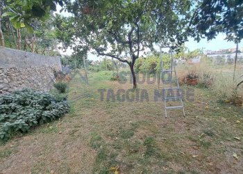 Immagine WhatsApp 2025-07-14 ore 17.30.39_fdda6751 - Casale Regione Prati e Pescine, Taggia - foto 6