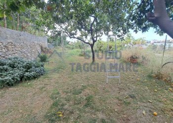 Immagine WhatsApp 2025-07-14 ore 17.30.58_195854e8 - Casale Regione Prati e Pescine, Taggia - foto 10