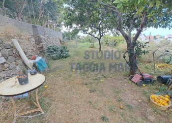 Immagine WhatsApp 2025-07-14 ore 17.30.58_a5fe12cc - Casale Regione Prati e Pescine, Taggia - foto 11