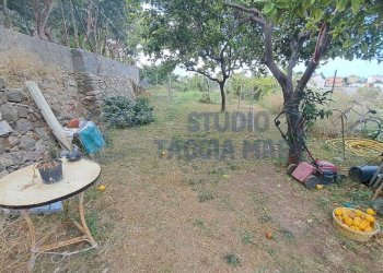 Immagine WhatsApp 2025-07-14 ore 17.30.59_96dd11c1 - Casale Regione Prati e Pescine, Taggia - foto 12