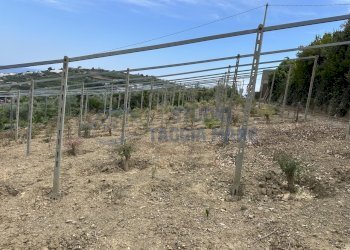 IMG_5569.JPG - Magazzino Via Terzorio, Santo Stefano al Mare - foto 5