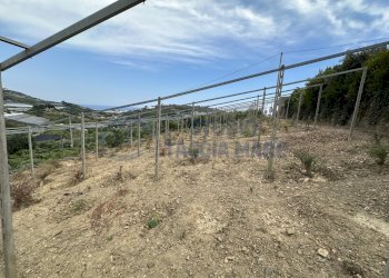 IMG_5571.JPG - Magazzino Via Terzorio, Santo Stefano al Mare - foto 6