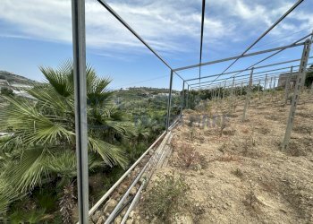 IMG_5573.JPG - Magazzino Via Terzorio, Santo Stefano al Mare - foto 8