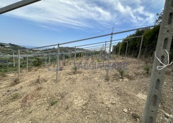 IMG_5570.JPG - Magazzino Via Terzorio, Santo Stefano al Mare - foto 9