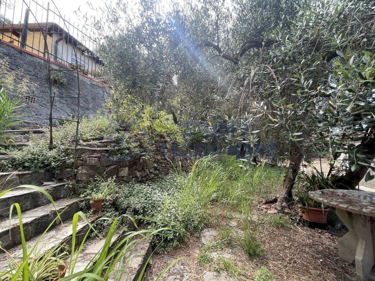 IMG_2435.JPG - Villa via mazzini, Pompeiana - photo 1