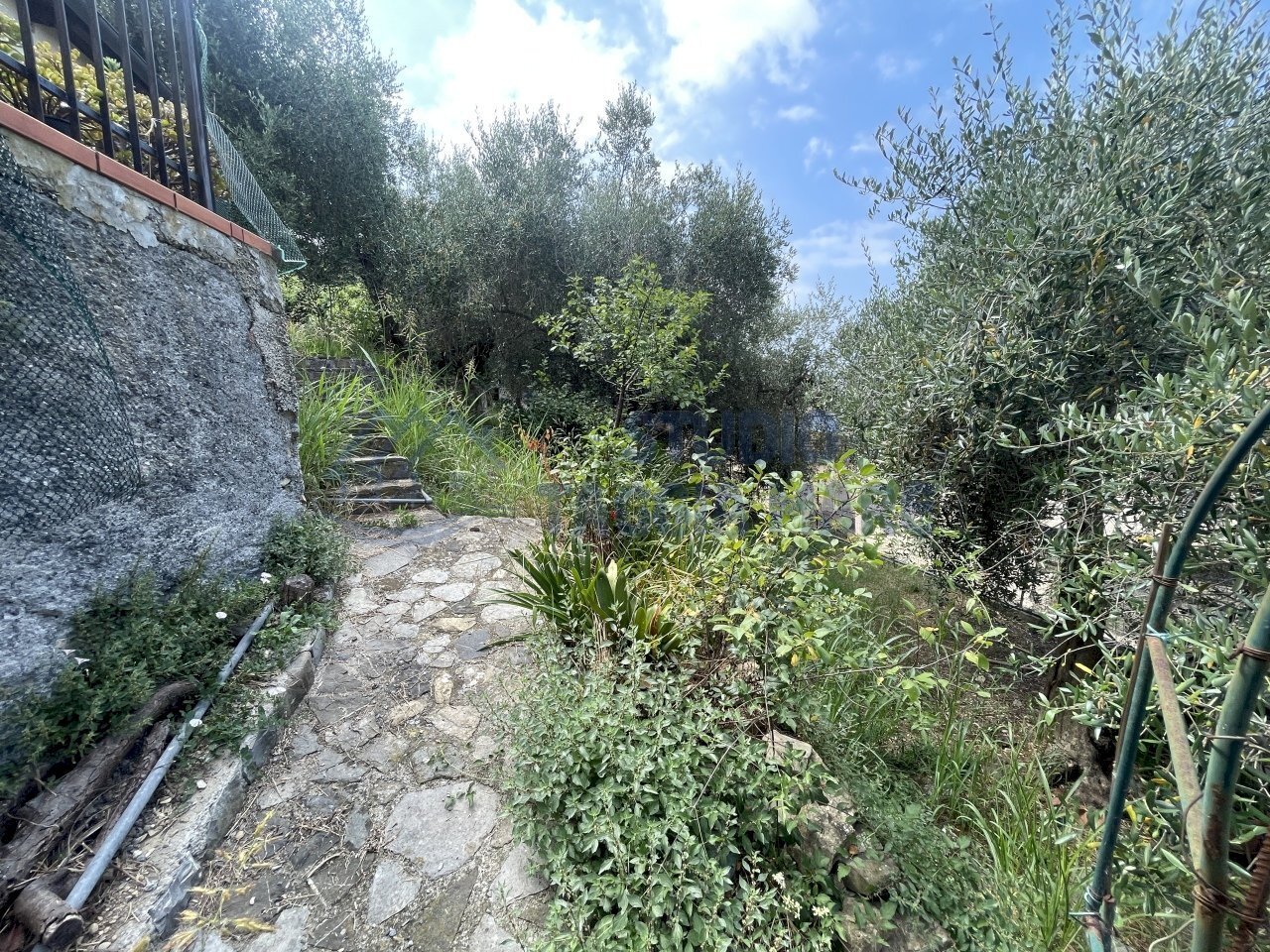 IMG_2437.JPG - Villa via mazzini, Pompeiana - photo 3