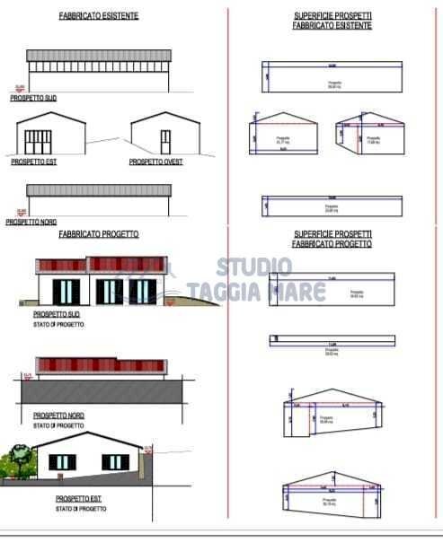 adc24c95-e68e-4cfa-806d-7d4a7b9de408.jpg - Terreno agricolo Via allende, Cipressa - foto 3
