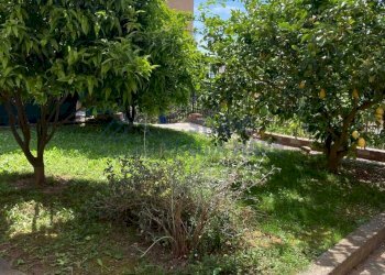 PHOTO-2025-05-28-13-35-29.jpg - Independent house VIA SANT AGATA, Imperia - photo 6