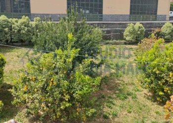 6d4d4270-051d-4693-b5a5-db8885e89a87.jpg - Independent house via duca d'aosta 87, Sanremo - photo 2