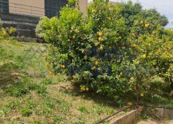 1875aeaa-453f-4ca3-9629-973ffa20f854.jpg - Independent house via duca d'aosta 87, Sanremo - photo 23