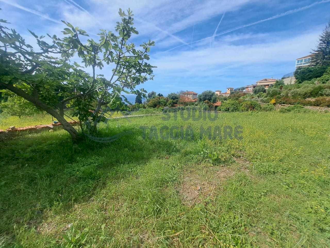 Immagine WhatsApp 2025-05-29 ore 12.09.27_cebd00b3 - Villa Corso Marconi, Ospedaletti - photo 2