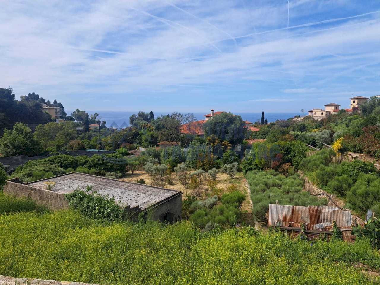 Immagine WhatsApp 2025-05-29 ore 12.11.15_5d25fd6f - Villa Corso Marconi, Ospedaletti - photo 3