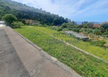 Immagine WhatsApp 2025-05-29 ore 12.11.23_8b6791ec - Villa Corso Marconi, Ospedaletti - photo 6