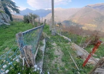 Immagine WhatsApp 2025-03-07 ore 16.11.59_800c24ba - Porzione di casa Via Costa 8, Molini di Triora - foto 15