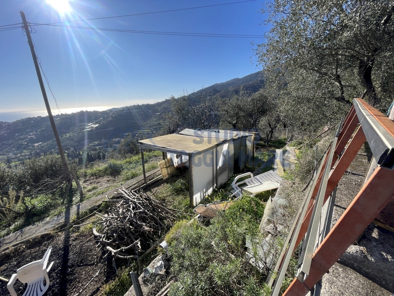 IMG_8532.JPG - Terreno agricolo strada senatore marsaglia, Sanremo - foto 2