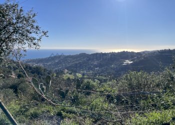 IMG_8543.JPG - Terreno agricolo strada senatore marsaglia, Sanremo - foto 1