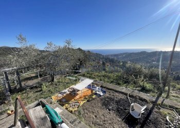 IMG_8536.JPG - Terreno agricolo strada senatore marsaglia, Sanremo - foto 4