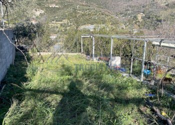 IMG_8539.JPG - Terreno agricolo strada senatore marsaglia, Sanremo - foto 5