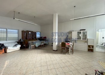 IMG_8549.JPG - Terreno agricolo strada senatore marsaglia, Sanremo - foto 9