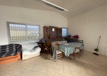 IMG_8556.JPG - Terreno agricolo strada senatore marsaglia, Sanremo - foto 12