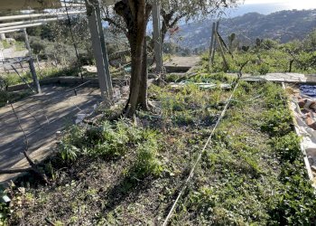IMG_8541.JPG - Magazzino Strada Sen. Ernesto Marsaglia, Sanremo - foto 13