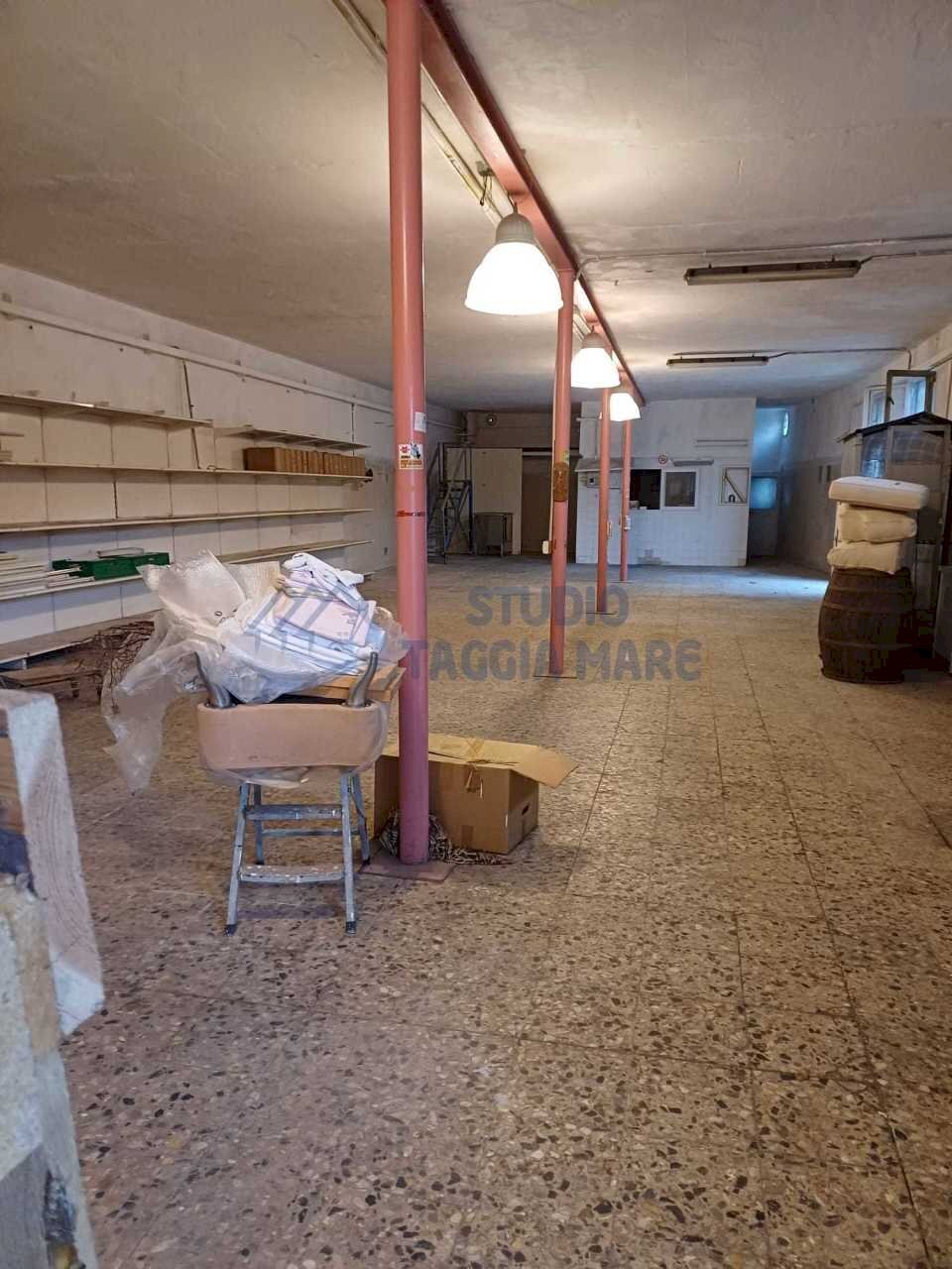 PHOTO-2024-12-02-15-36-58.jpg - Laboratorio Via Primo Maggio, Taggia - foto 2