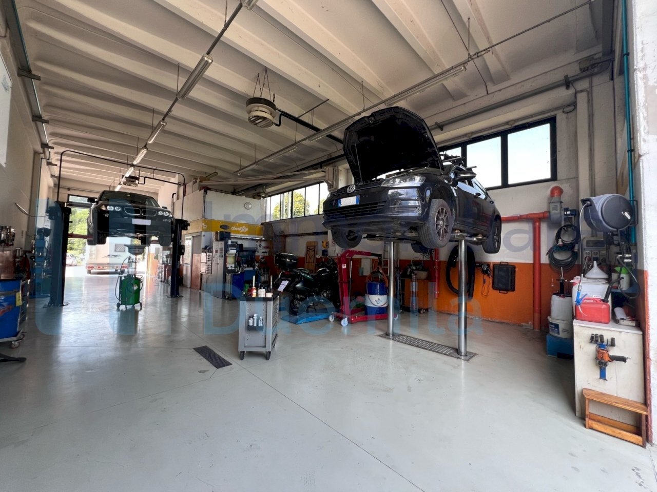 IMMAGINE02-ink.jpeg - Non Alimentare Imola - foto 2