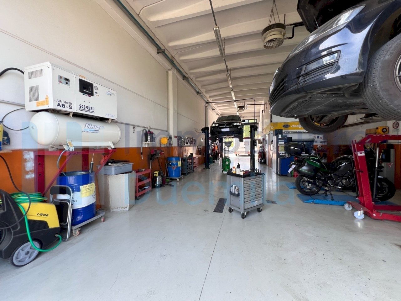 IMMAGINE03-ink.jpeg - Non Alimentare Imola - foto 3