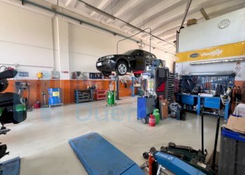 IMMAGINE01-ink.jpeg - Non Alimentare Imola - foto 1