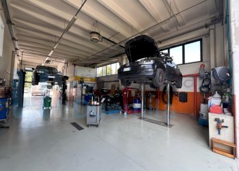 IMMAGINE02-ink.jpeg - Non Alimentare Imola - foto 2